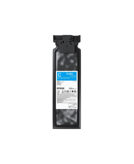 Epson UltraChrome DG2 T55B2 (C13T55B200) 250 ml Rašalinė kasetė, Žydra