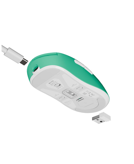 Fury | Gaming Mouse | Tanto T4 | Wired/Wireless | 2.4 GHz, Bluetooth, USB | Mint
