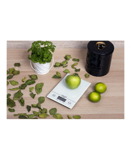 Adler | AD 3138 w | Maximum weight (capacity) 5 kg | White