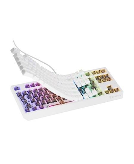 Genesis | THOR 230 | Mechanical Gaming Keyboard | Wired | US | Outemu Brown | White