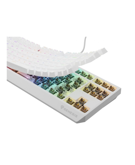 Genesis | THOR 230 | Mechanical Gaming Keyboard | Wired | US | Outemu Brown | White