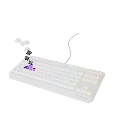 Genesis | THOR 230 | Mechanical Gaming Keyboard | Wired | US | Outemu Brown | White
