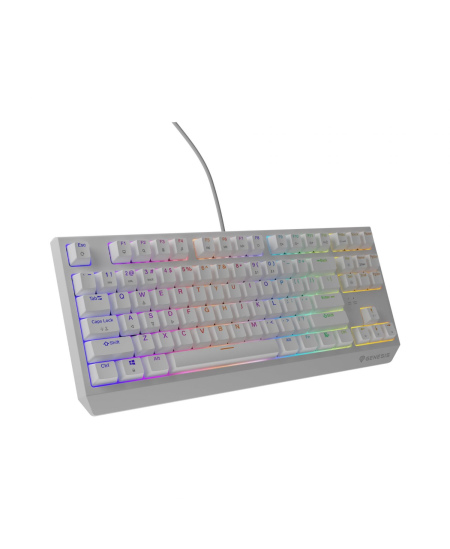 Genesis | THOR 230 | Mechanical Gaming Keyboard | Wired | US | Outemu Brown | White