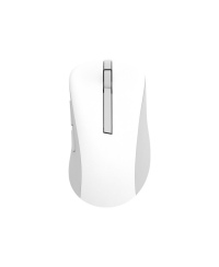 Asus Wireless Mouse | MD102 | Mouse | 2.4 GHz, Bluetooth | White