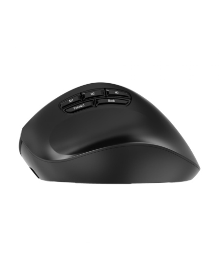 Gembird Triple-mode mouse | MUSW3-9B-01 | Wireless | 2.4G, Bluetooth | Black
