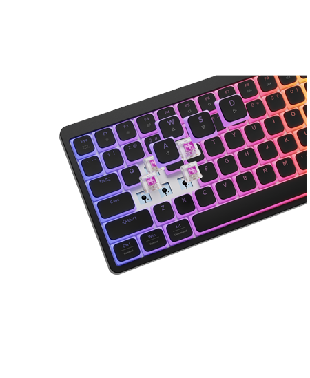 Genesis Thor 430 TKL | Gaming Keyboard | Wired | US | Linear | Black