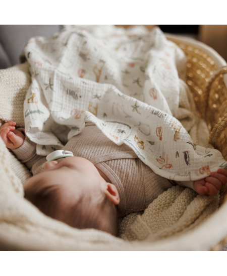 Babyono vystyklai medvilniniai 3 vnt žalias 828/04
