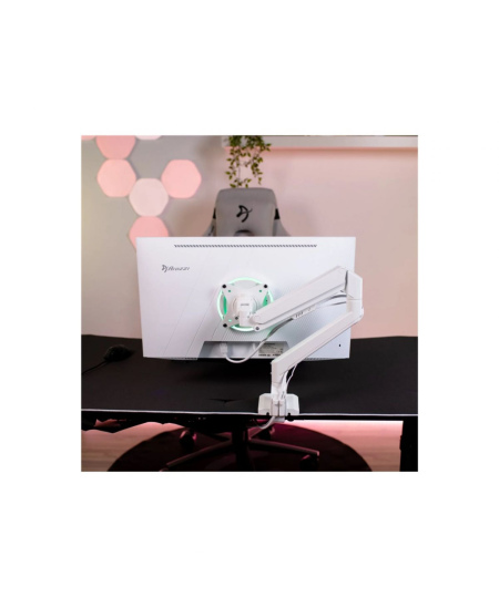 Arozzi | Nova | 24 " | IPS | QHD | 16:9 | 200 Hz | 1 ms | 2560 x 1440 pixels | 300 cd/m² | HDMI ports quantity 2 | Forest 