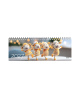 Kalendorius MEMO Dancing Queens 2027, 290 x 110 mm, kartoninis