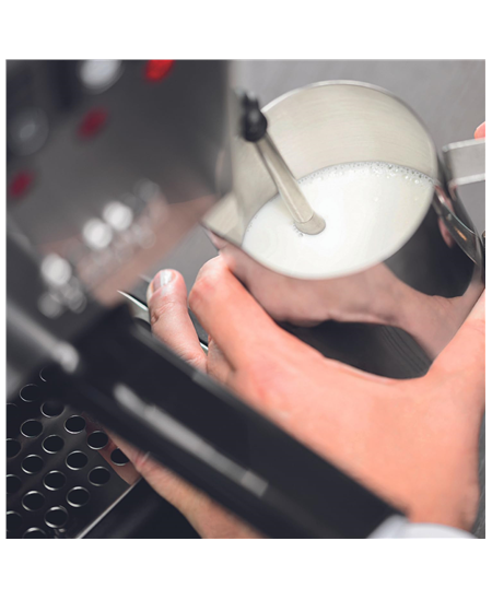 Gaggia | Coffee Maker | RI9481/11 Classic E24 | Pump pressure 15 bar | Built-in milk frother | Semi-automatic | Brushed Stainles