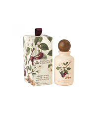 Namų kvapas Botanic Cherry&Sandalwood, purškiamas, 100 ml, vnt