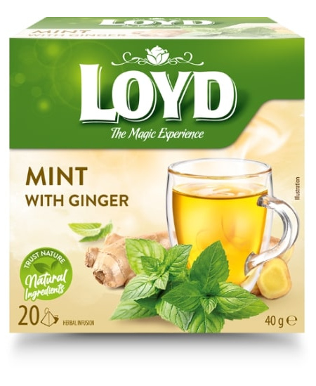 Arbata LOYD, mėtos ir imbiero skonio, 20x2 g