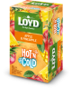 Vaisinis arbatos gėrimas LOYD HOT&COLD obuolių ir ananasų skonio, 15x2 g