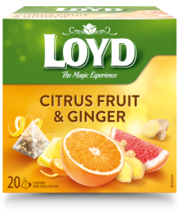 Vaisių ir žolelių arbata LOYD, imbiero ir citrusinių vaisių skonio, 20 x 2g