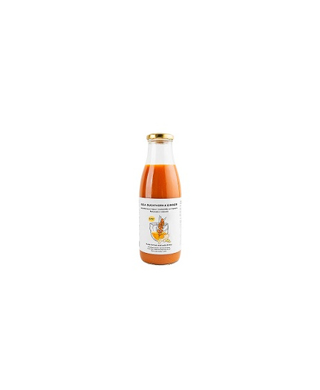 Šaltalankių ir imbiero tyrė NORDIC BERRY arbatai ruošti, 750ml