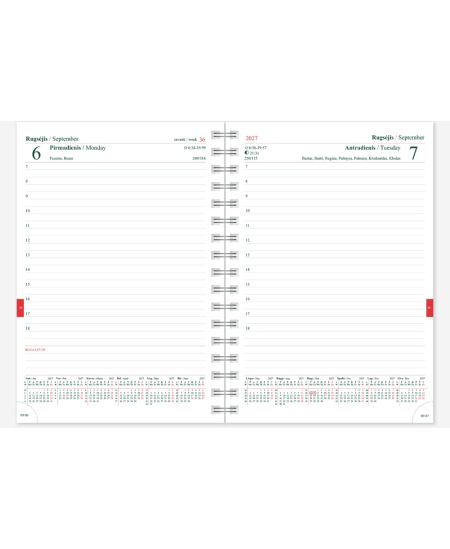 Kalendorius MANAGER Spirex Day Trend "Spirit" 2027, A5, PU
