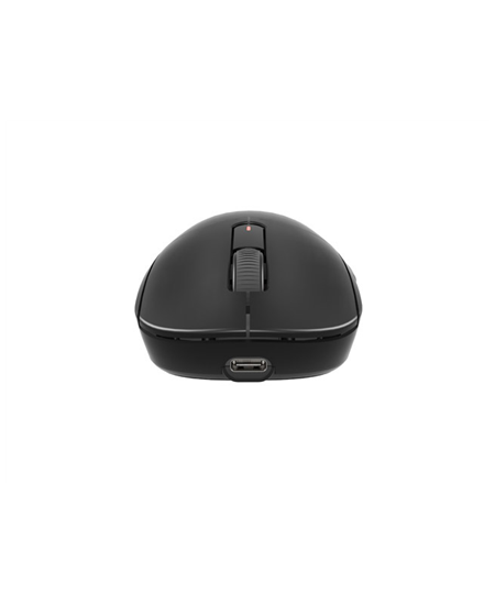 Fury | Gaming Mouse | Tanto T4 | Wired/Wireless | 2.4 GHz, Bluetooth, USB | Black