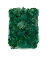 Plunksnos 5-12cm 10g, t.žalios