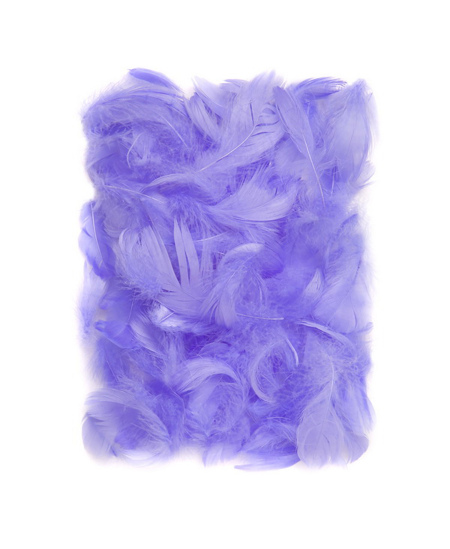 Plunksnos 5-12cm 10g, šv.violetinės