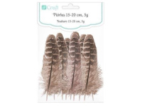 Plunksnos anties 15-20cm 5g