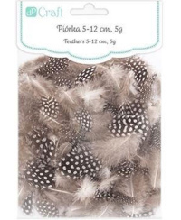 Plunksnos putpelių 5-12cm, 5g