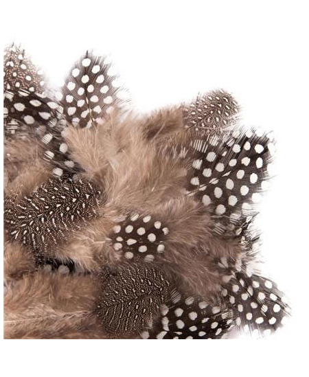 Plunksnos putpelių 5-12cm, 5g