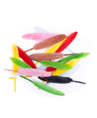 Plunksnos žąsies 13cm 20vnt mix