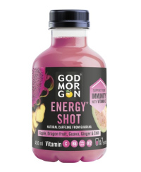 Sultys GOD MORGON, Ginger Energy shot, įvairių vaisių ir uogų, 0,45 l