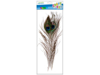 Dekoratyvinės plunksnos CRAFT WITH FUN, natūralios, 30–32 cm, 2 vnt.