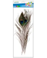 Dekoratyvinės plunksnos CRAFT WITH FUN, natūralios, 30–32 cm, 2 vnt.