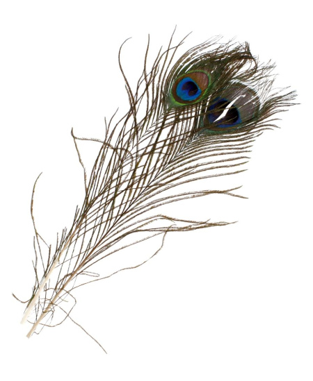 Dekoratyvinės plunksnos CRAFT WITH FUN, natūralios, 30–32 cm, 2 vnt.