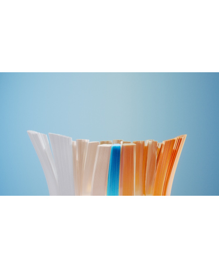Philips Sonicare A3 Premium All-in-One HX9094/88 Sonic Dantų šepetėlio galvutės, Juoda