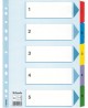 Skiriamieji lapai ESSELTE, 1-5, spalvoti, A4