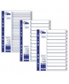 Skiriamieji plastikiniai lapai FORPUS, 1-12, vienspalviai, A4+