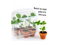 Augalų sėklos vaikams